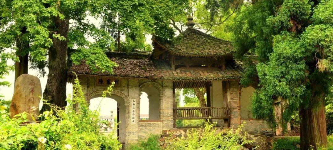 全民剧本大师内置菜单