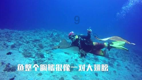 解惑蜗牛-被人捅了一刀后,为何不能立马把刀拔出来?作死老外亲自测试!专业问答平台